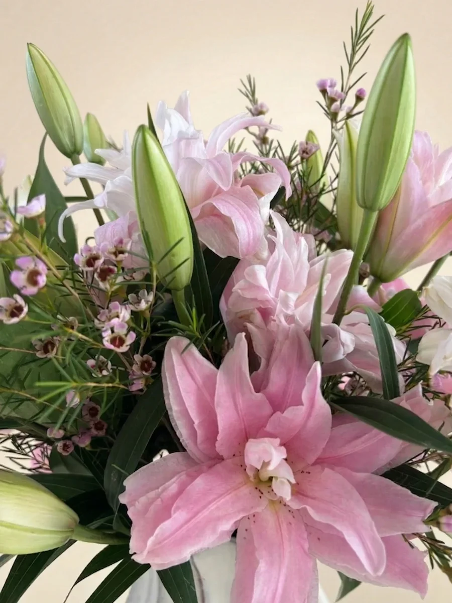 The Camille - view 2