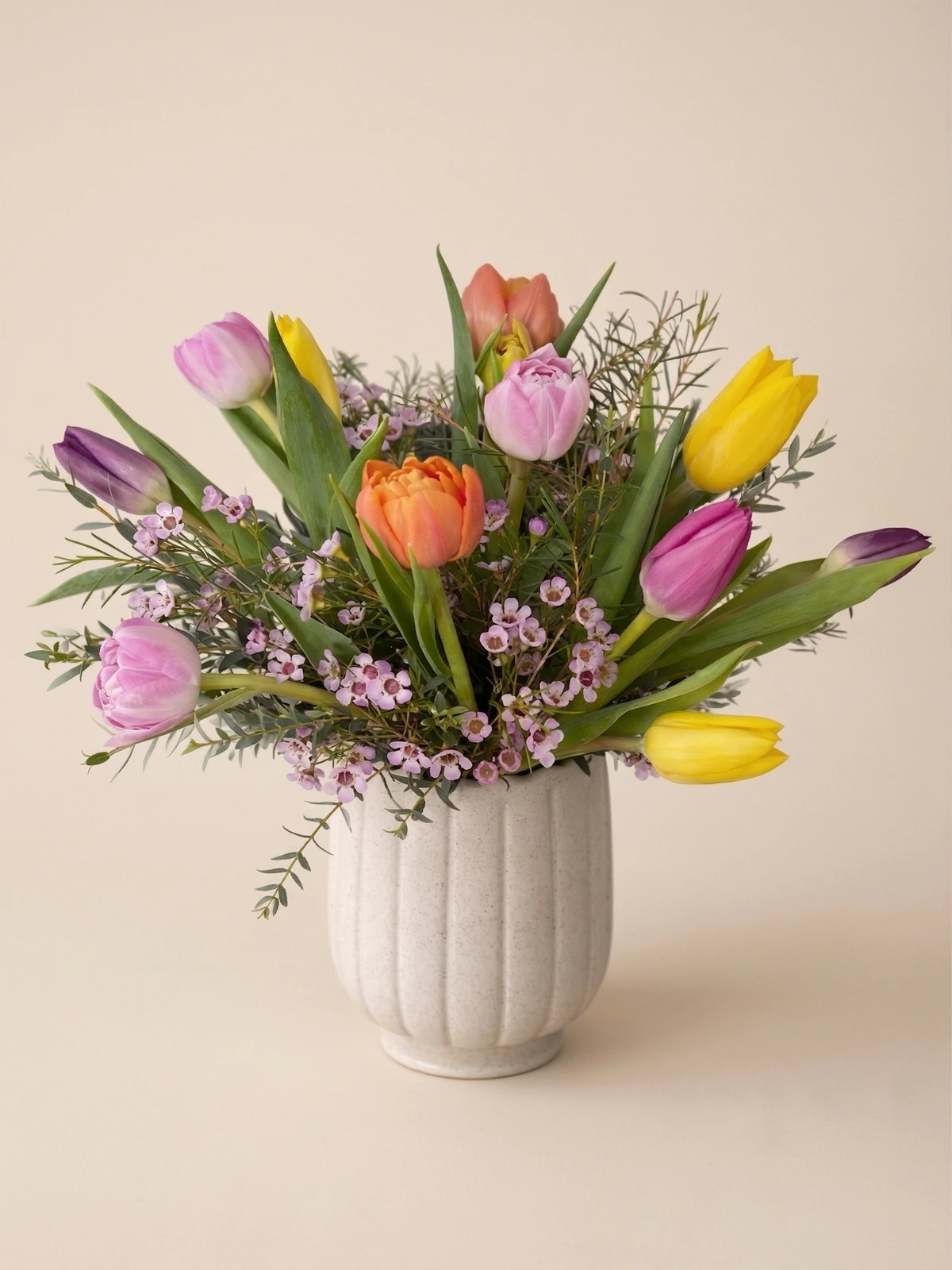 The Vivienne - spring tulips with waxflower and greenery in a white ribbed ceramic vase